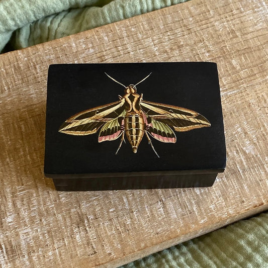 Sphinx Moth 3" Black Soapstone Trinket Box