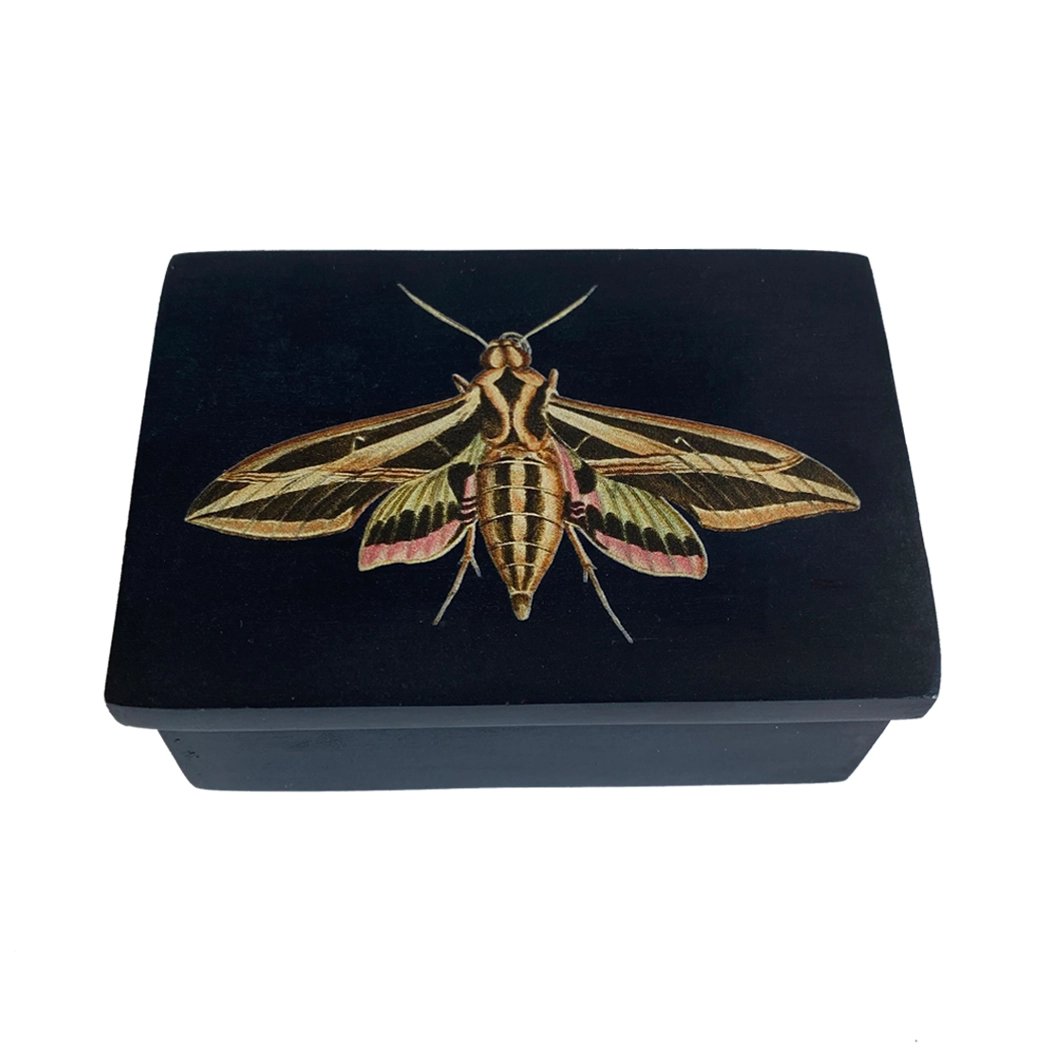 Sphinx Moth 3" Black Soapstone Trinket Box