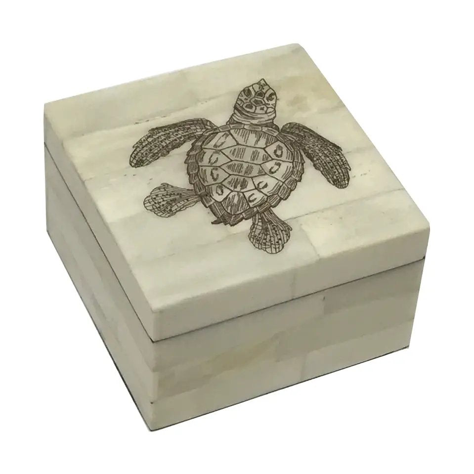 Vintage Scrimshaw Bone 3-1/4” Trinket Box – Sea Turtle