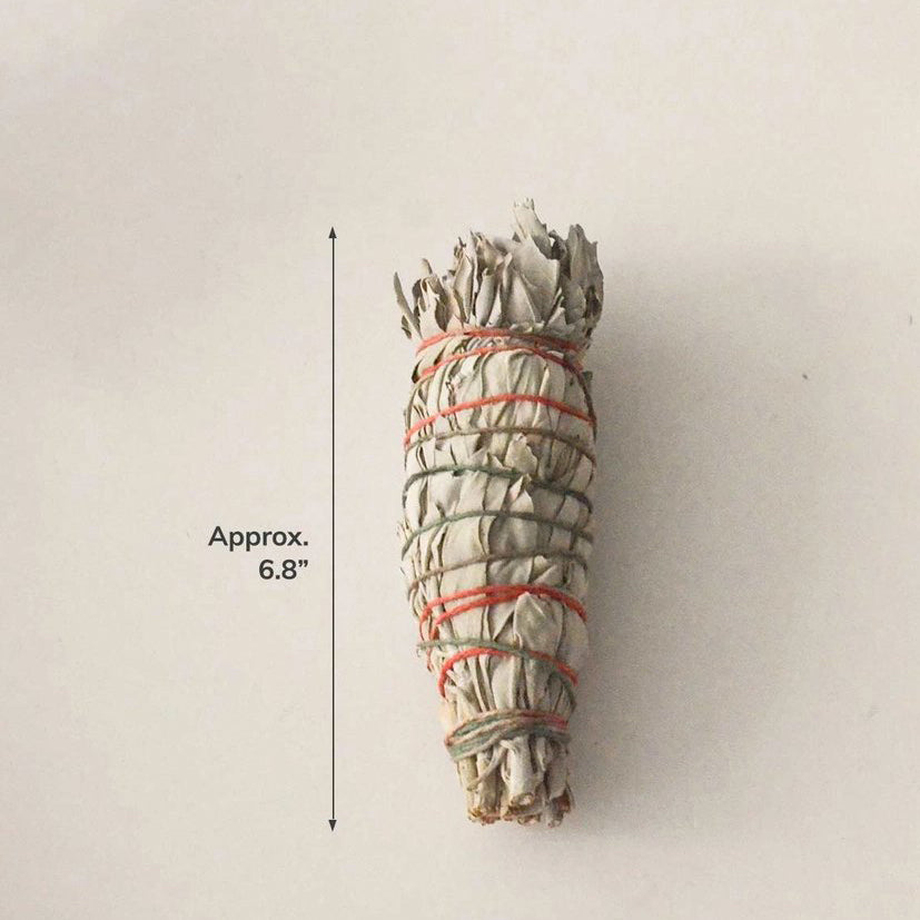 Organic White Sage Smudging Stick