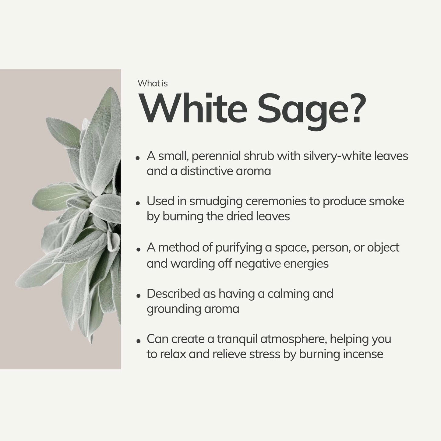 Organic White Sage Smudging Stick