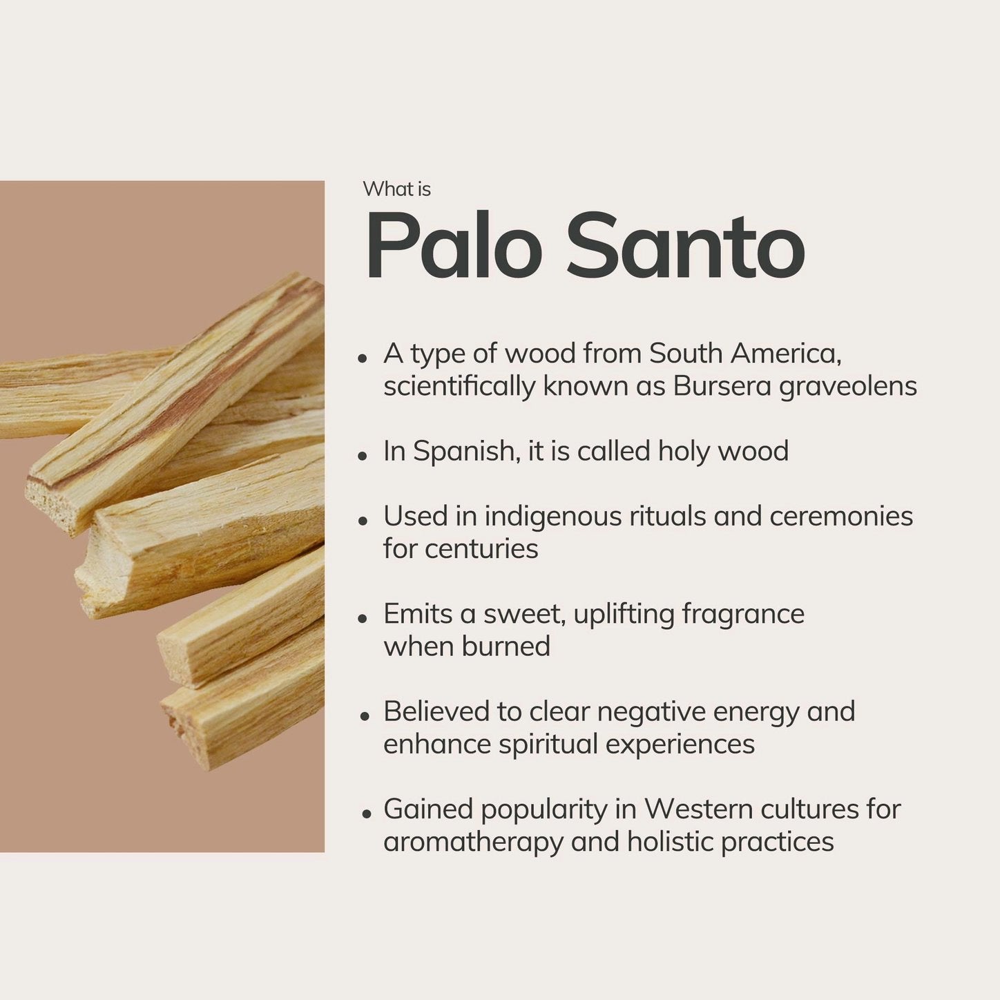 Hand-Rolled Palo Santo Incense Sticks