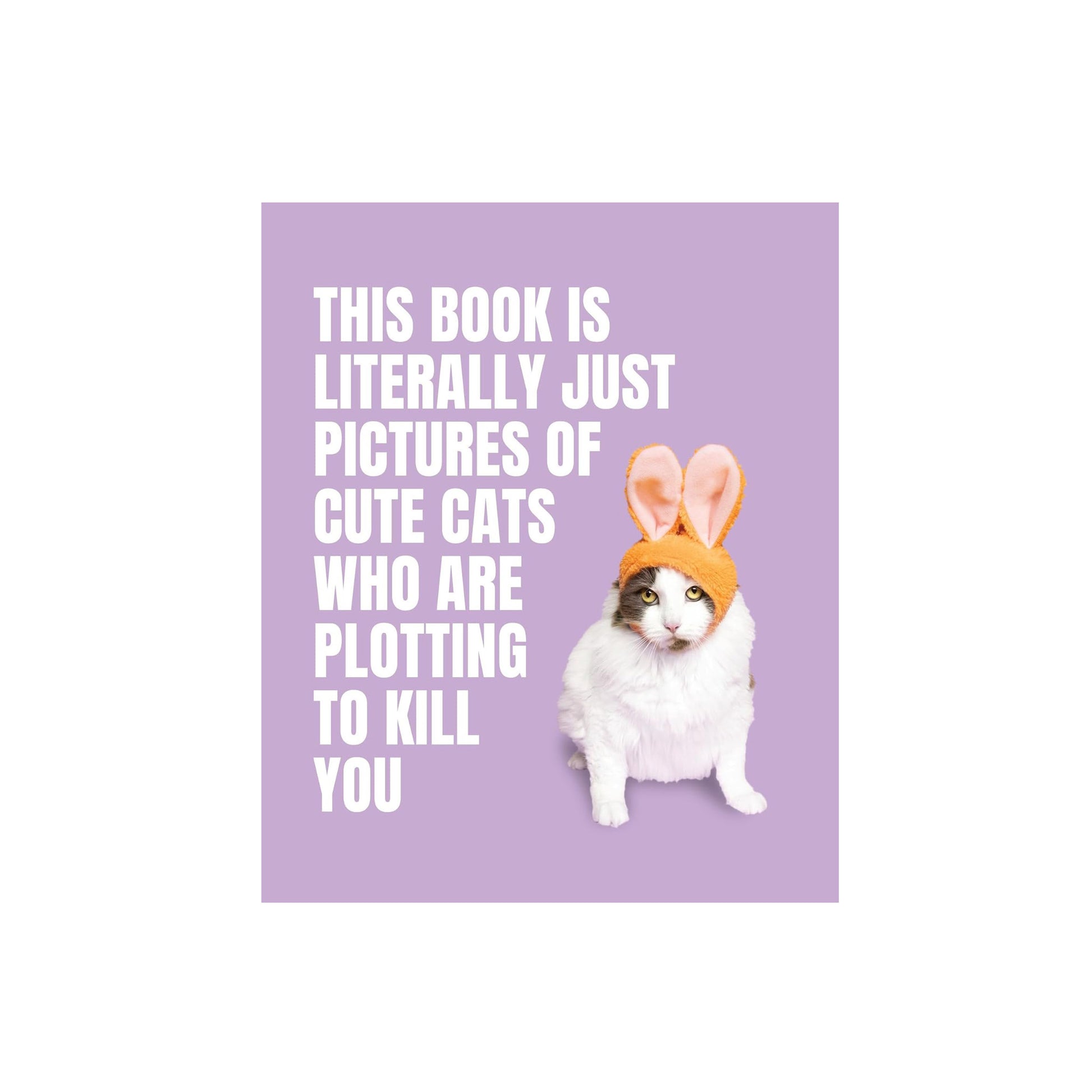 This Book is Literally Just Pictures of Cute Cats Who Are Plotting to Kill You