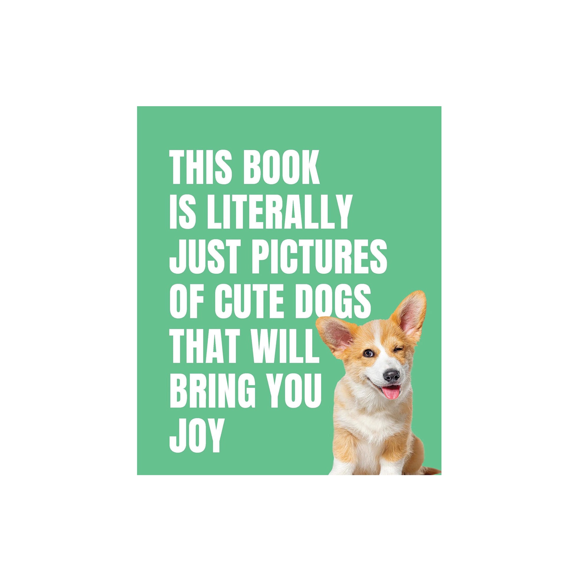 This Book is Literally Just Pictures of Cute Dogs That Will Bring You Joy