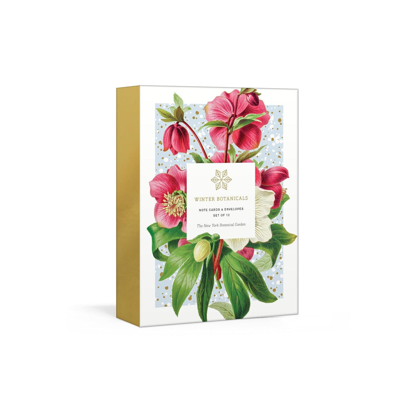 Winter Botanicals Notes: 12 Notecards + Envelopes (Boxed Set)