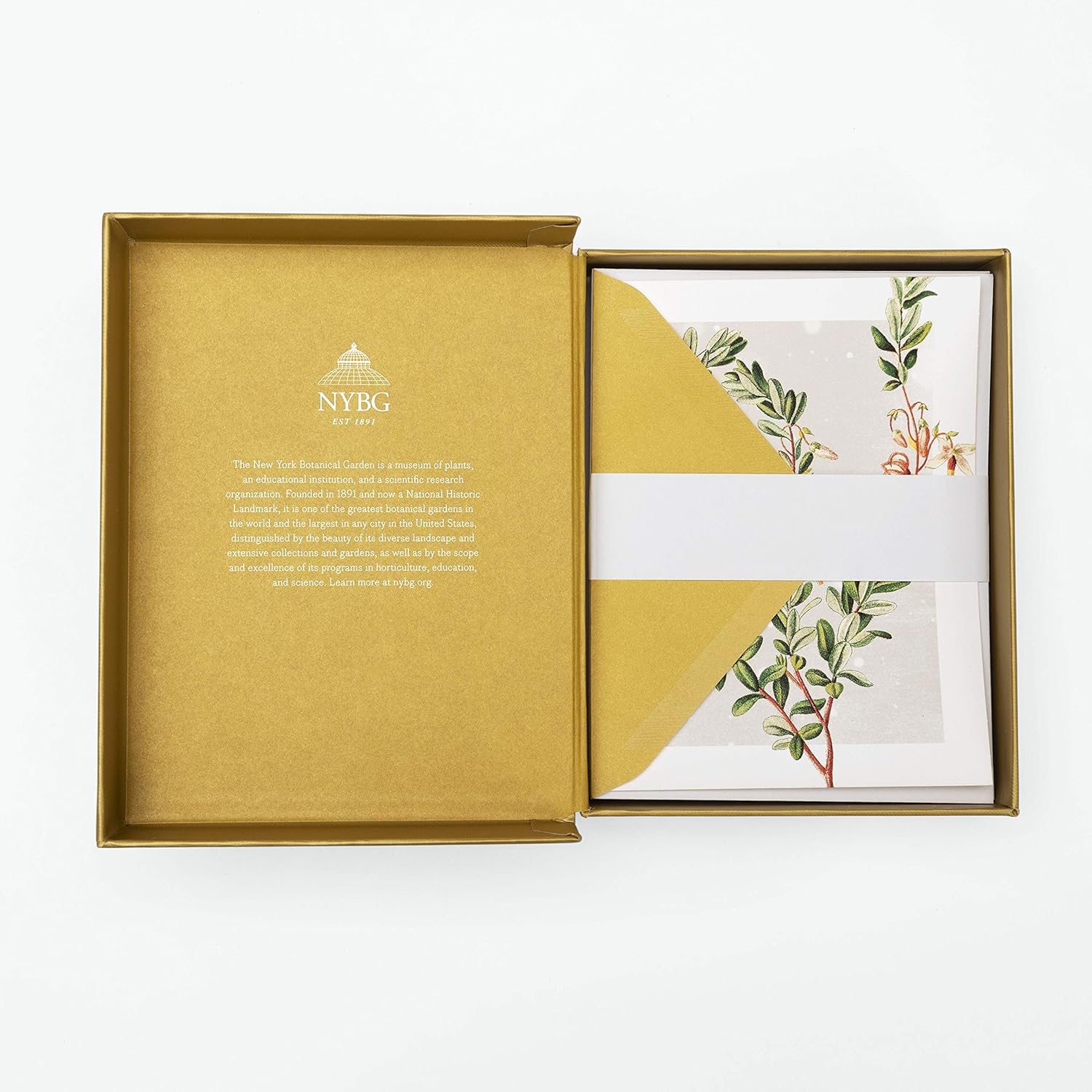 Winter Botanicals Notes: 12 Notecards + Envelopes (Boxed Set)