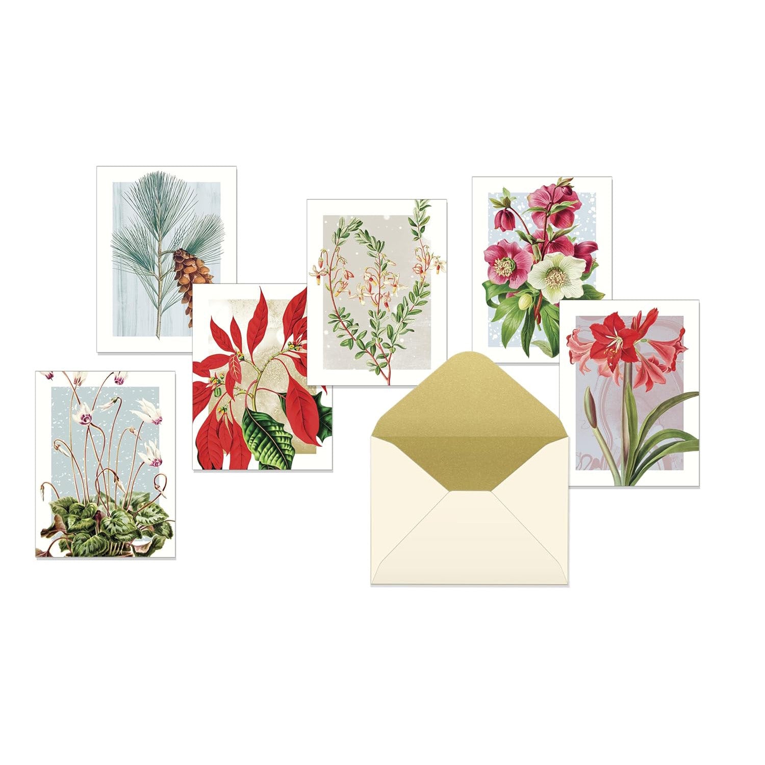 Winter Botanicals Notes: 12 Notecards + Envelopes (Boxed Set)