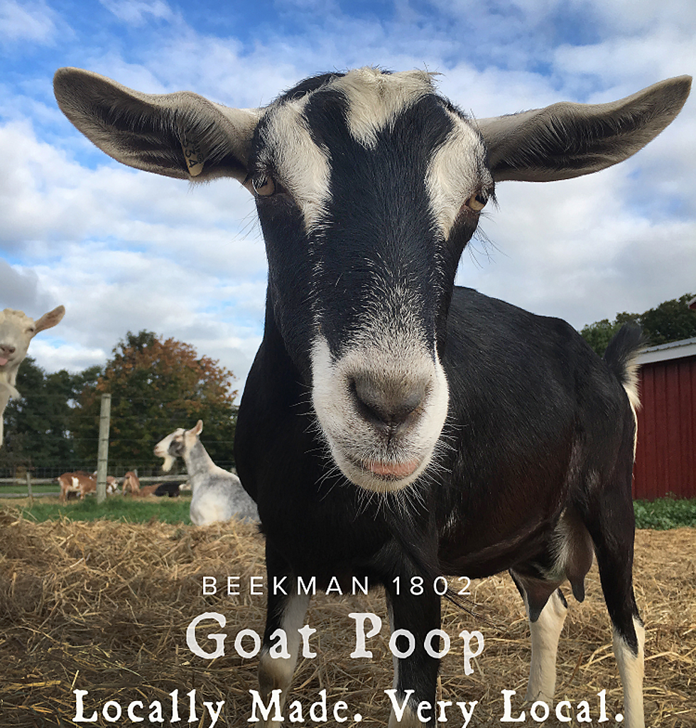 Beekman 1802 'Goat Poop' Premium Belgian Chocolates