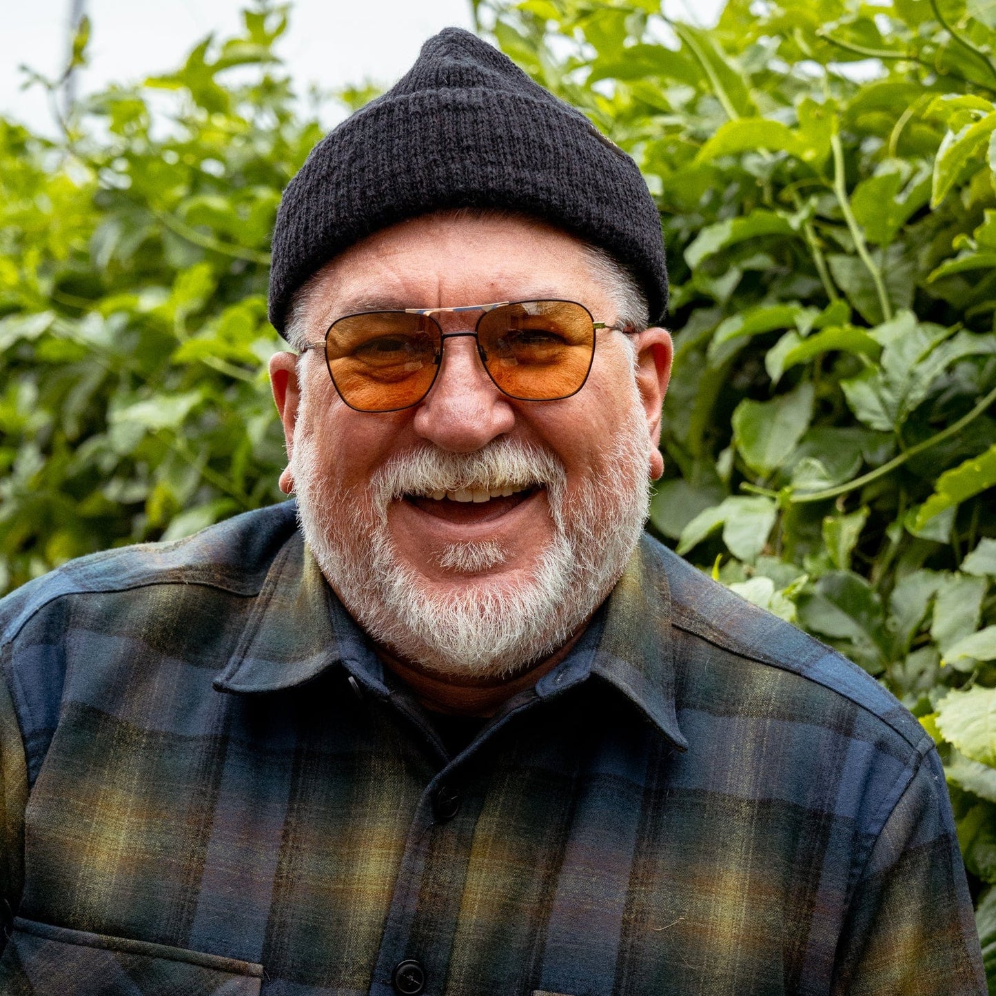 Hooper - Matte Black + Gold / Amber Lens