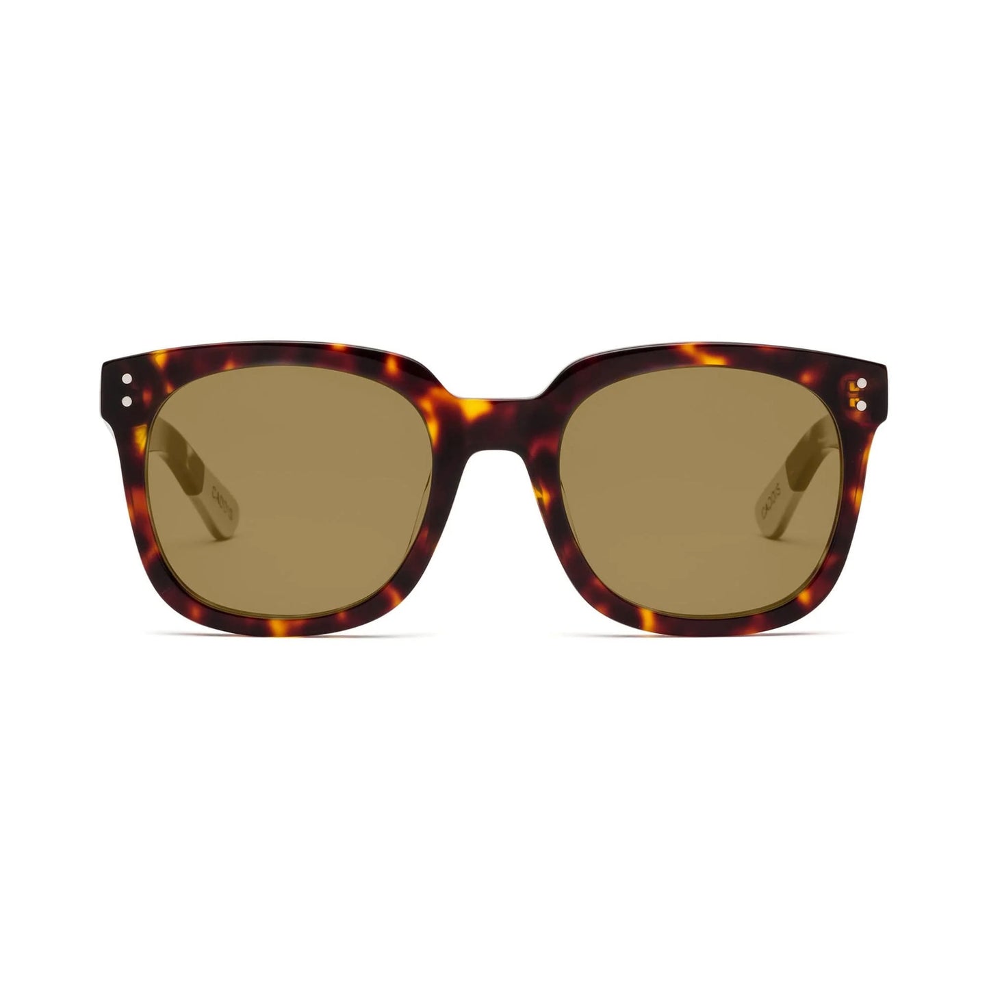 Polarized Sunglasses | Jockamo - Turtle with Bronze Lens