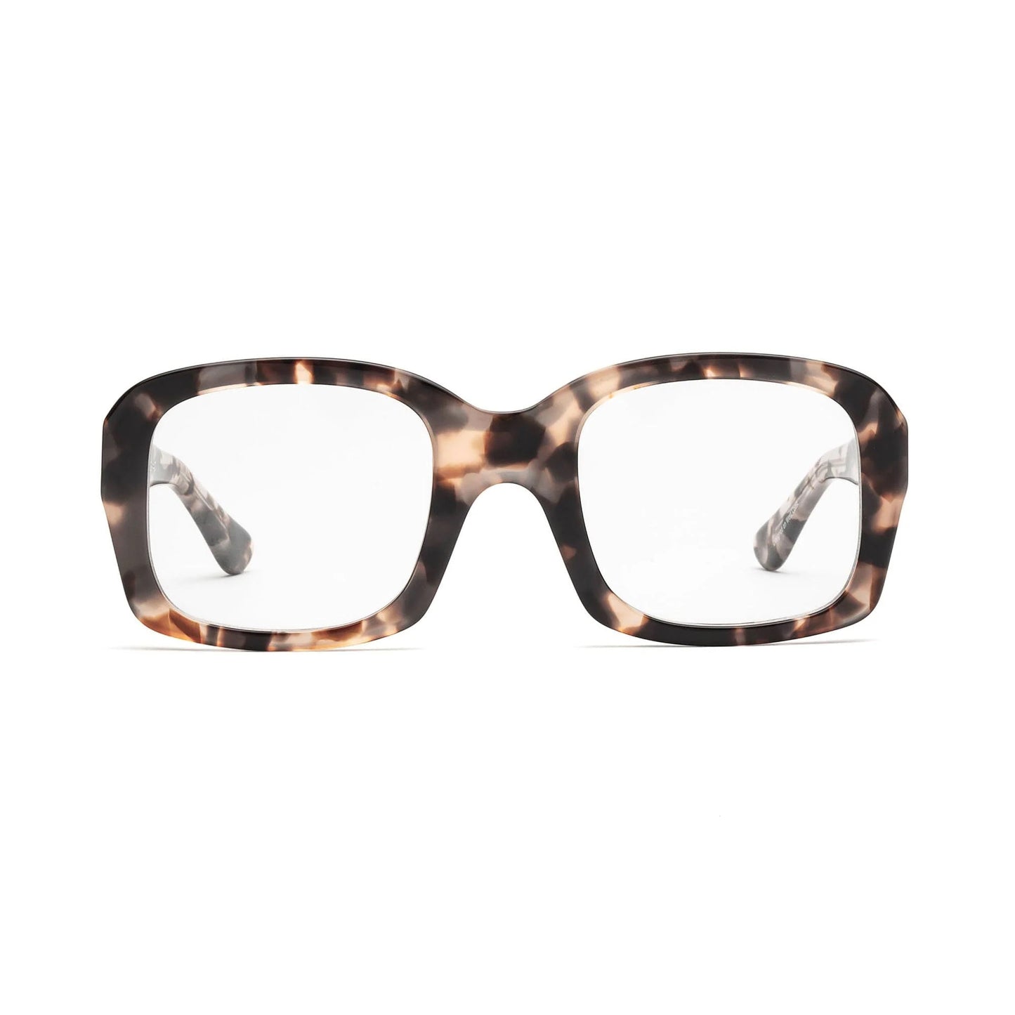 Shelby - Turtle Dove