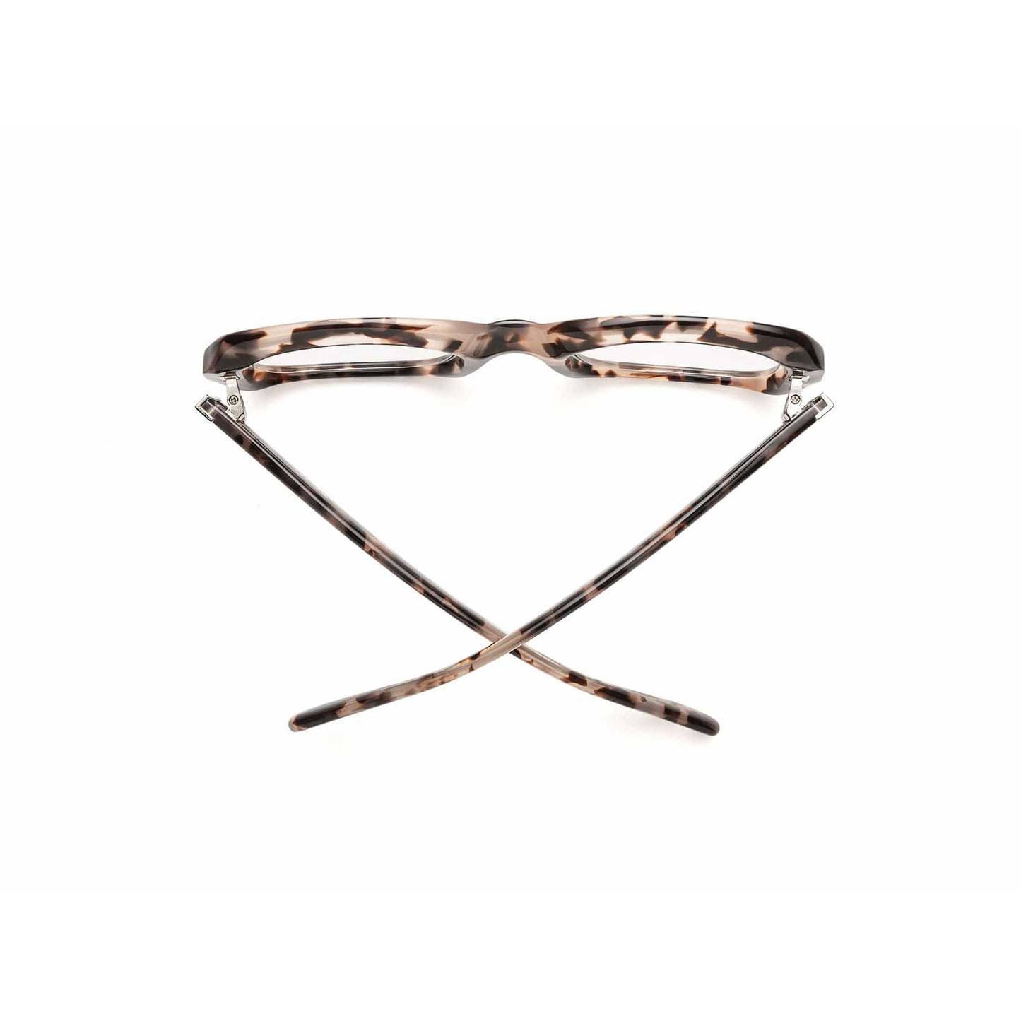 Shelby - Turtle Dove