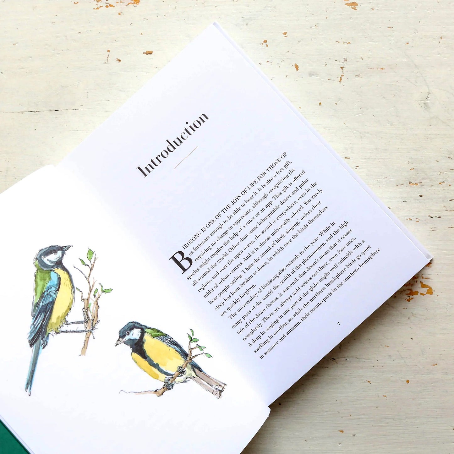 A Year of Birdsong: 52 Stories of Songbirds