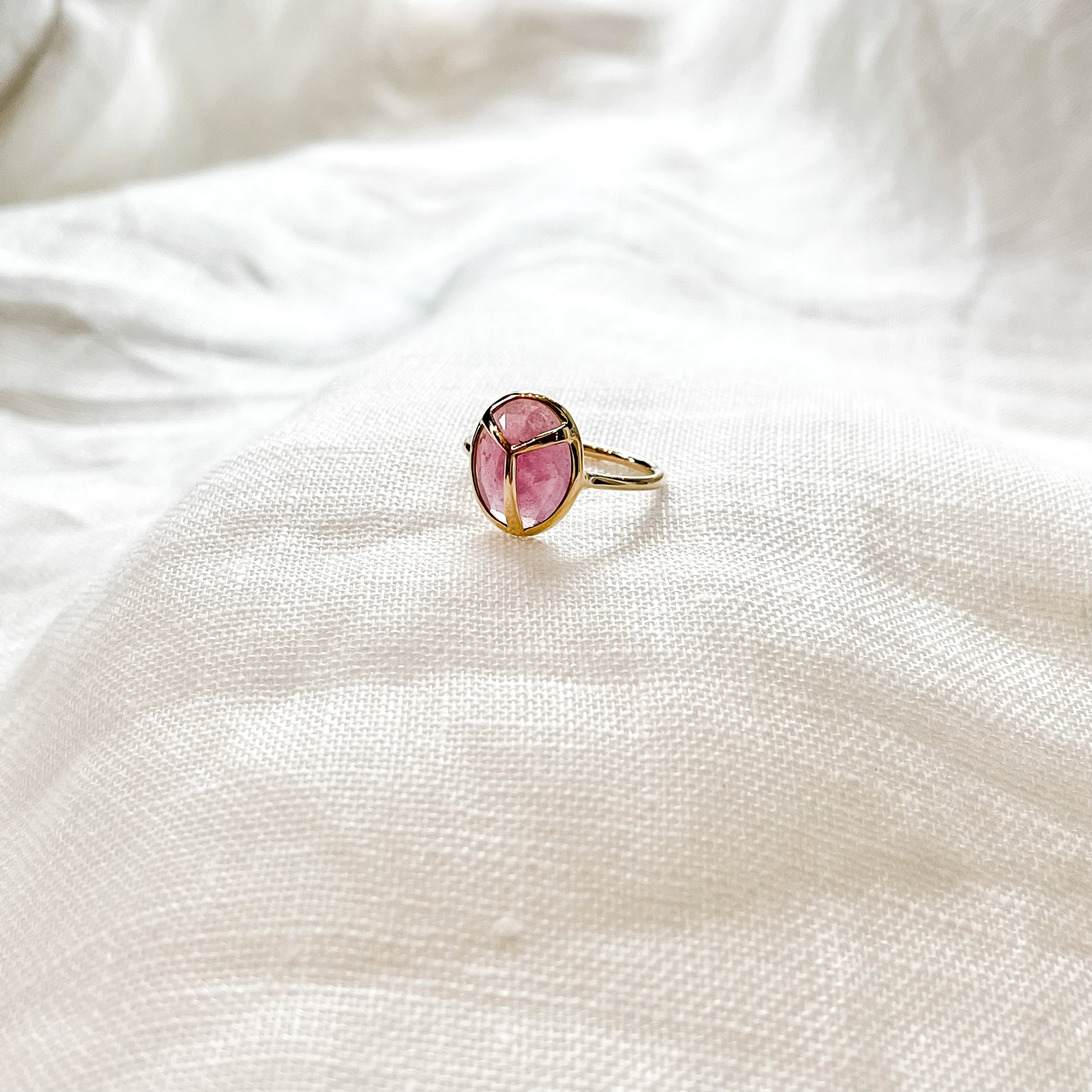 18k Gold + Ruby Lucky Scarab Ring
